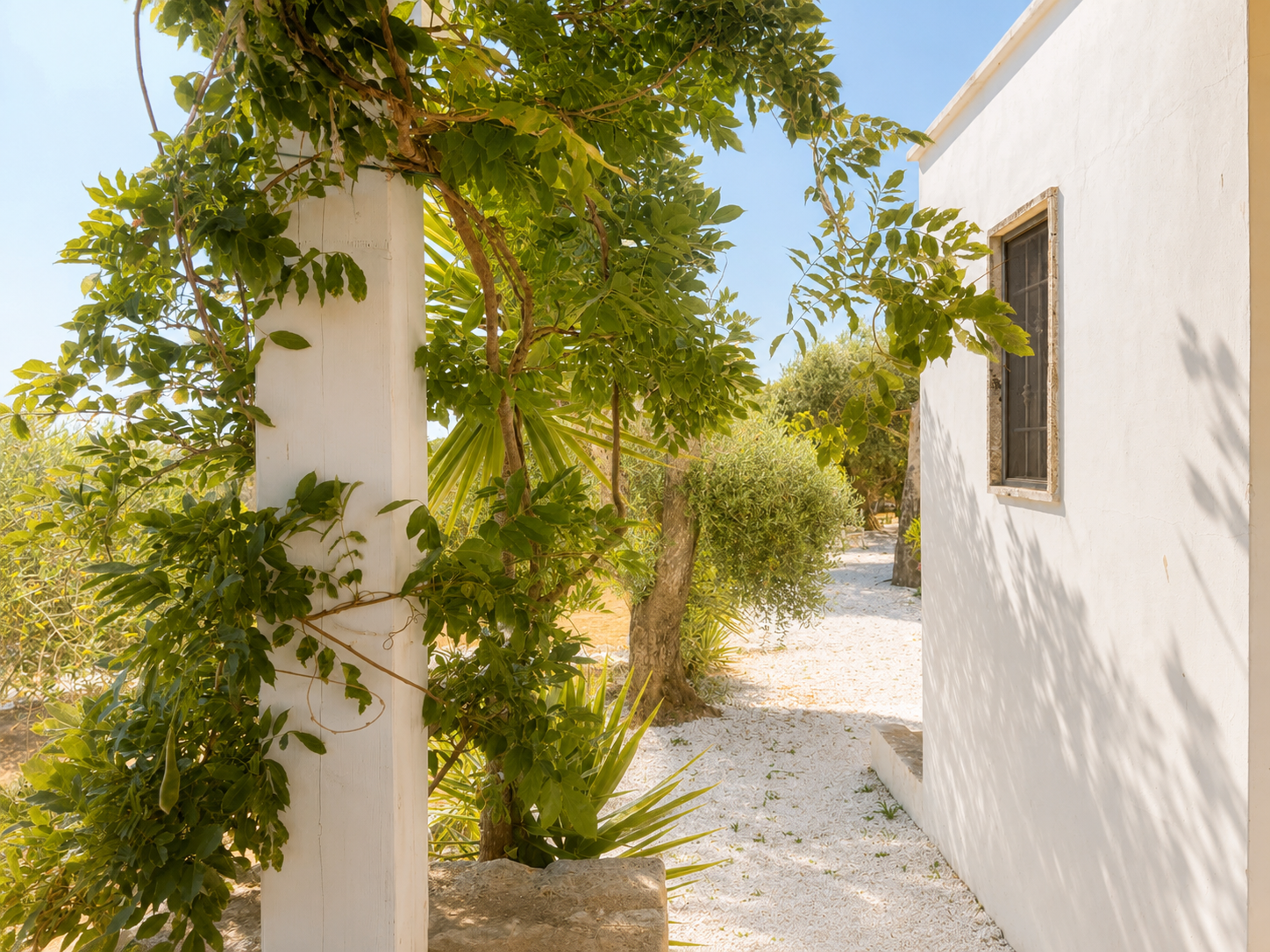 Breakfast in the trullo courtyard